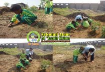 sekolah al izzah krian, sekolah alam al izzah krian, biaya sekolah alam al izzah krian, sekolah alam, sekolah alam krian, sekolah al izzah, sekolah alam sidoarjo, sekolah alam al izzah sidoarjo, biaya sekolah al izzah krian, biaya al izzah krian, biaya al izzah sidoarjo, biaya al izzah krian sidoarjo, pendaftaran al izzah krian, pendaftaran siswa al izzah krian, ppdb al izzah krian, ppdb sekolah alam krian, biaya sekolah al izzah krian, biaya pendaftaran al izzah krian, pendaftaran sekolah alam al izzah krian, al izzah krian, sekolah al izzah, sekolah al izzah krian, tk islam krian, sd islam krian, smp islam krian, tk full day krian, sd full day krian, smp full day krian, tk islam di krian, sd islam di krian, smp islam di krian, tk full day di krian, sd full day di krian, smp full day di krian, tk tahfidz krian, sd tahfidz krian, smp tahfidz krian, tk tahfidz quran krian, sd tahfidz quran krian, smp tahfidz quran krian, tk tahfidz di krian, sd tahfidz di krian, smp tahfidz di krian, tk tahfidz quran di krian, sd tahfidz quran di krian, smp tahfidz quran di krian, tk tahfidz qur'an krian, sd tahfidz qur'an krian, smp tahfidz qur'an krian, tk tahfidz qur'an di krian, sd tahfidz qur'an di krian, smp tahfidz qur'an di krian, tk islam di sidoarjo, sd islam di sidoarjo, smp islam di sidoarjo, tk full day di sidoarjo, sd full day di sidoarjo, smp full day di sidoarjo, tk tahfidz sidoarjo, sd tahfidz sidoarjo, smp tahfidz sidoarjo, tk tahfidz quran sidoarjo, sd tahfidz quran sidoarjo, smp tahfidz quran sidoarjo, tk tahfidz di sidoarjo, sd tahfidz di sidoarjo, smp tahfidz di sidoarjo, tk tahfidz quran di sidoarjo, sd tahfidz quran di sidoarjo, smp tahfidz quran di sidoarjo, tk tahfidz qur'an sidoarjo, sd tahfidz qur'an sidoarjo, smp tahfidz qur'an sidoarjo, tk tahfidz qur'an di sidoarjo, sd tahfidz qur'an di sidoarjo, smp tahfidz qur'an di sidoarjo, sekolah alam boarding school sidoarjo, sekolah alam boarding school di sidoarjo, sekolah alam boarding school surabaya, sekolah alam boarding school di surabaya, sekolah alam daerah sidoarjo, sekolah alam insan mandiri sidoarjo, sekolah alam rumah kayu sidoarjo, sekolah alam al izzah sidoarjo regency east java, sekolah alam the naff sidoarjo, sekolah alam insan mulia sidoarjo, sekolah alam al izzah sidoarjo, sekolah alam rumah matahari kabupaten sidoarjo jawa timur, sekolah alam di sidoarjo, sekolah alam rumah matahari sidoarjo, sekolah alam sidoarjo surabaya, sekolah islam terpadu sidoarjo, sekolah sd islam sidoarjo, sekolah islam terbaik sidoarjo, sekolah islam terbaik di sidoarjo, sekolah islam terpadu di sidoarjo, sekolah islam sari bumi sidoarjo, sekolah islam di sidoarjo, sekolah tinggi agama islam al khoziny sidoarjo, sekolah tk islam di sidoarjo, sekolah dasar islam di waru sidoarjo, sekolah dasar islam terbaik di waru sidoarjo, sekolah full day di sidoarjo, sekolah dasar full day di sidoarjo, sekolah sd full day di sidoarjo, sekolah smp full day di sidoarjo, sekolah terbaik di sidoarjo, sekolah islam terbaik sidoarjo, sekolah islam terbaik di sidoarjo, sekolah swasta terbaik di sidoarjo, sekolah sd terbaik di sidoarjo, sekolah tk terbaik di sidoarjo, sekolah smp terbaik di sidoarjo, sekolah smk terbaik di sidoarjo, sekolah mi terbaik di sidoarjo, sekolah dasar islam terbaik di sidoarjo, sekolah sd islam terbaik di sidoarjo, sekolah sma terbaik di sidoarjo, sekolah dasar islam terbaik di waru sidoarjo, sekolah tahfidz di sidoarjo, sekolah tahfidz quran sidoarjo, sekolah tahfidz balita sidoarjo, sekolah tahfidz quran di sidoarjo, sekolah full day krian, sekolah terbaik di krian, sekolah terbaik krian, sekolah tk terbaik di krian, sekolah sd terbaik di krian, sekolah smp terbaik di krian, sekolah sma terbaik di krian, sekolah tk terbaik krian, sekolah sd terbaik krian, sekolah smp terbaik krian, sekolah sma terbaik krian, sekolah tk terbaik di sidoarjo, sekolah sd terbaik di sidoarjo, sekolah smp terbaik di sidoarjo, sekolah sma terbaik di sidoarjo, sekolah alam krian, sekolah yapalis krian, sekolah di krian sidoarjo, sekolah di krian, sekolah kesehatan krian, sekolah farmasi krian, sekolah tk krian, sekolah kristen krian, sekolah cinta hati krian, daftar sekolah di krian, sekolah farmasi di krian, sekolah alam al izzah krian, sekolah menengah jenis kebangsaan krian, kepala sekolah sman krian ott, kepala sekolah sman krian, kepala sekolah sman krian kena ott kajari sidoarjo,daftar sekolah di kecamatan krian, sekolah tk di krian, sekolah tk terbaik di krian, sekolah tk krian, sekolah sd di krian, sekolah sd terbaik di krian, nama sekolah sd di krian, daftar nama sekolah sd di krian, sekolah smp krian, daftar sekolah TK krian, daftar sekolah sd krian, daftar sekolah smp krian, playgroup krian, sekolah playgroup krian, sekolah playgroup di krian, playgroup di krian, sekolah tk di sidoarjo, sekolah tk islam sidoarjo, sekolah tk terbaik di sidoarjo, sekolah tk inklusi di sidoarjo, sekolah tk islam di sidoarjo, sekolah tk kristen di sidoarjo, sekolah tk favorit di sidoarjo, sekolah tk internasional di sidoarjo, sekolah tk katolik di sidoarjo, biaya sekolah tk al azhar sidoarjo, sekolah sd di sidoarjo, daftar sekolah sd sidoarjo, sekolah sd islam sidoarjo, sekolah sd favorit sidoarjo, sekolah sd terbaik di sidoarjo, sekolah sd islam di sidoarjo, sekolah sd swasta di sidoarjo, sekolah sd fullday di sidoarjo, biaya sekolah sd al azhar sidoarjo, sekolah sd favorit di sidoarjo, kepala sekolah sd muhammadiyah 1 sidoarjo, sekolah tk tahfidz krian, sd tahfidz krian, sd tahfidz di krian, sd tahfidz quran krian, sd tahfidz quran di krian, tk tahfidz krian, tk tahfidz di krian, tk tahfidz quran krian, tk tahfidz quran di krian, smp tahfidz krian, smp tahfidz di krian, smp tahfidz quran krian, smp tahfidz quran di krian, sd full day krian, sd full day di krian, tk full day krian, tk full day di krian, smp full day krian, smp full day di krian, sd boarding krian, sd boarding di krian, tk boarding krian, tk boarding di krian, smp boarding krian, smp boarding di krian, sd islam krian, sd islam di krian, tk islam krian, tk islam di krian, smp islam krian, smp islam di krian, sekolah sd full day krian, sekolah sd full day di krian, sekolah tk full day krian, sekolah tk full day di krian, sekolah smp full day krian, sekolah smp full day di krian, sekolah sd islam krian, sekolah sd islam di krian, sekolah tk islam krian, sekolah tk islam di krian, sekolah smp islam krian, sekolah smp islam di krian, sekolah sd boarding krian, sekolah sd boarding di krian, sekolah tk boarding krian, sekolah tk boarding di krian, sekolah smp boarding krian, sekolah smp boarding di krian, sekolah sd tahfidz krian, sekolah sd tahfidz di krian, sekolah sd tahfidz quran krian, sekolah sd tahfidz quran di krian, sekolah tk tahfidz krian, sekolah tk tahfidz di krian, sekolah tk tahfidz quran krian, sekolah tk tahfidz quran di krian, sekolah smp tahfidz krian, sekolah smp tahfidz di krian, sekolah smp tahfidz quran krian, sekolah smp tahfidz quran di krian, SD Muhammadiyah 1 Krian, SD Muhammadiyah 2 Krian, SMP Muhammadiyah 6 Krian, SMP Muhammadiyah 1 Krian, SMP Muhammadiyah 2 Krian, SMP Muhammadiyah 3 Krian, SMP Muhammadiyah 4 Krian, SMP Muhammadiyah 5 Krian, SD ISLAM AL KAUTSAR, SD ISLAM AL KAUTSAR krian, SMP Al-Islam Krian, SMP Al islam Krian, SMK YAPALIS KRIAN, Sekolah Dasar Negeri Sidomojo, Sekolah Dasar Negeri Kemasan, SD Negeri Kemasan, SMP Pancasila Ponokawan, MTsN 2 Sidoarjo, MTsN 2 krian, MTsN krian, MTsN 1 krian, Sekolah Dasar Negeri Terik, SD AL ISLAM PLUS KRIAN, SDN Tambak Kemeraan, SDN Katerungan, SMP Nusantara Krian, SMK SMEA Pemuda, SMP Bilingual Terpadu, SMAN 1 Krian, SDN Ponokawan, SD Darussalamah, smpn 1 krian, smpn 2 krian, smpn 3 krian, SDN Ponokawan krian, SD Darussalamah krian, smk 1 krian, smk 2 krian, smk 1 krian sidoarjo, smk 2 krian sidoarjo, TK Dharma Wanita Persatuan, TK Dharma Wanita Persatuan krian, TK Aisyiyah Bustanul Athfal, TK Dharma Wanita Persatuan Krian, TK Dharma Wanita Desa Kasak, Kb Tk Al-MUJADDID, Kb Tk Al MUJADDID krian, TK Darul Hikmah, TK Darul Hikmah krian, TK Katolik Santa Theresia krian, KB-TK Dunia Ceria, KB-TK Dunia Ceria krian, TK Dharma Wanita Keboharan, TK Dharma Wanita Terungkulon, PG-TK Cinta Hati, PG-TK Cinta Hati krian, TK DHARMA WANITA PERSATUAN KEMASAN, TK Darmawanita Krian, Tk Aisyiyah krian, TK Puri Ananda krian, TK Puri Ananda, Tk Pelita Bangsa krian, Tk Pelita Bangsa, Tk Insan Cendekia, Tk Insan Cendekia krian, TK IT Rumah Bintang Terbaik di Krian, TK IT Rumah Bintang Krian, KB-TK Insan Cendikia, KB-TK Insan Cendikia krian, TK Insan Cendikia, TK Insan Cendikia krian, al izzah, sekolah al izzah, al izzah krian, sekolah al izzah krian, sekolah alam insan mulia, sekolah alam malang, sekolah alam sidoarjo, sekolah alam bogor, sekolah alam di bali, sekolah alam indonesia, sekolah alam rumah matahari, sekolah alam depok, sekolah alam adalah, sekolah alam al izzah, sekolah alam al ghifari, sekolah alam avesiena, sekolah alam ar ridho, sekolah alam avesiena malang, sekolah alam al giva, sekolah alam al ghifari blitar kota blitar jawa timur, sekolah alam al jannah, sekolah alam banyuwangi, sekolah alam bali, sekolah alam bambu item, sekolah alam bengawan solo, sekolah alam boarding school, sekolah alam bekasi kota bks jawa barat, sekolah alam ciganjur, sekolah alam cilacap, sekolah alam cianjur, sekolah alam cendekia bogor, sekolah alam ciomas, sekolah alam cibinong, sekolah alam cipedak, sekolah alam cepu, sekolah alam cipondoh tangerang, sekolah alam di surabaya, sekolah alam di sidoarjo, sekolah alam di malang, sekolah alam di jember, sekolah alam di gresik, sekolah alam di batu malang, sekolah alam di kediri, sd sekolah alam, sd sekolah alam bogor, sd sekolah alam jatinangor, sd sekolah alam bintaro, sd sekolah alam depok, sd sekolah alam jatinangor sumedang regency west java, sd sekolah alam insan mulia surabaya, sd sekolah alam bandung, sd sekolah alam tangerang, sd sekolah alam cikeas, sekolah alam excellentia pamekasan, sekolah alam entrepreneur, sekolah alam entrepreneur tangerang banten, sekolah alam ayah edy, sekolah alam in english, sekolah alam rumah kreasi edukasi kota bandar lampung lampung, biaya sekolah trihita alam eco school, sekolah alam saka kediri kediri east java, sekolah alam fathia sukabumi, sekolah alam fitrah lebah, sekolah alam firdaus bekasi, sekolah alam friends, sekolah alam femaledaily, sekolah alam al fath jambi, sekolah alam al fikri depok, sekolah alam al firdaus, sekolah alam vs sekolah formal, sekolah kebangsaan puncak alam fasa 2, sekolah alam generasi rabbani gondanglegi, sekolah alam gresik, sekolah alam gaharu, sekolah alam griya tugu asri, sekolah alam gunung sindur, sekolah alam garut, sekolah alam genteng banyuwangi, sekolah alam gratis, sekolah alam green school citra raya, sekolah alam green school bali, sekolah alam harapan kita, sekolah alam harau, sekolah alam hijau daun kediri, sekolah alam hikari, sekolah alam harapan indah, sekolah alam homeschooling depok, sekolah alam hankam, sekolah alam harmoni bangsa, sekolah alam hijau daun, sekolah alam hobi hobi, sekolah alam islamic center ponorogo, sekolah alam indonesia cibinong, sekolah alam insan cendekia, sekolah alam islam, sekolah alam indonesia meruyung, sekolah alam indonesia depok, sekolah alam indramayu, sekolah alam indonesia studio alam, sekolah alam jogja, sekolah alam jakarta, sekolah alam jingga, sekolah alam jombang, sekolah alam jember, sekolah alam jagakarsa, sekolah alam jingga kota bks jawa barat, sekolah alam jambi, sekolah alam jawa timur, sekolah alam jatiasih, sekolah alam kebun tumbuh, sekolah alam kudus, sekolah alam karawang, sekolah alam kampung sawah, sekolah alam kranggan, sekolah alam kristen, sekolah alam kabupaten bandung, sekolah alam katulampa, tk sekolah alam, tk sekolah alam depok, tk sekolah alam insan mulia surabaya, tk sekolah alam palembang, tk sekolah alam bogor, tk sekolah alam bintaro, tk sekolah alam cikeas, tk sekolah alam indonesia depok, tk sekolah alam bandung, tk sekolah alam di jogja, sekolah alam lampung, sekolah alam lendo novo, sekolah alam langit biru bengkulu, sekolah alam lubuklinggau, sekolah alam lukulo kebumen, sekolah alam lentera pekanbaru, sekolah alam lembang, sekolah alam lebah putih, sekolah alam lilbee, sekolah alam lombok, sekolah alam mojokerto, sekolah alam madiun, sekolah alam meruyung, sekolah alam minangkabau, sekolah alam madani, sekolah alam madinah, sekolah alam murah, sekolah alam mekar bakti, sekolah alam muara bungo, sekolah alam nusantara, sekolah alam nur hikmah, sekolah alam nurul islam, sekolah alam nitiprayan, sekolah alam natur islam, sekolah alam natur islam jatirasa kota bekasi jawa barat, sekolah alam nurul islam (sdit alam) yogyakarta kabupaten sleman daerah istimewa yogyakarta, sekolah alam nurul islam (sdit alam) yogyakarta, sekolah alam ngelmu pring malang, sekolah alam org, sekolah alam school of universe parung, sekolah alam bekasi outbound, outbound sekolah alam, sekolah alam pelopor, sekolah alam pasuruan, sekolah alam probolinggo, sekolah alam parung, sekolah alam palembang, sekolah alam pdf, sekolah alam purwakarta, sekolah alam pare, sekolah alam pamulang, sekolah alam qoryah thoyyibah, sekolah alam quran cendekia, sekolah alam quran, sekolah alam qurani, sekolah alam quran al ibda, sekolah alam qurani tapos kota depok jawa barat, sekolah alam quran al ibda bandung, sekolah alam al qolam bsd, sekolah alam al qolam, sekolah alam rumah matahari sidoarjo, sekolah alam ramadhani, sekolah alam raya, sekolah alam rumbai, sekolah alam rawa kopi, sekolah alam raya jember, sekolah alam rizkia, sekolah alam ramadhani kediri, sekolah alam rumah kayu sidoarjo, sekolah alam surabaya, sekolah alam saka joyoboyo kediri, sekolah alam saka kediri, sekolah alam semarang, sekolah alam sabila ponorogo, sekolah alam sawangan, sekolah alam solo, sekolah alam sma, sekolah alam terdekat, sekolah alam tulungagung, sekolah alam terbaik, sekolah alam tingkat smp di bogor, sekolah alam tingkat sma, sekolah alam tangsel, sekolah alam terbuka, sekolah alam terbaik di bogor, sekolah alam tingkat smp di bekasi, sekolah alam untuk anak, sekolah alam ungaran, sekolah alam untuk anak usia dini, sekolah alam untuk anak berkebutuhan khusus, sekolah alam untuk anak kinestetik, sekolah alam ubud bali, sekolah alam untuk anak hiperaktif, sekolah alam universe, sekolah alam ujung aspal, sekolah alam umum, saran untuk sekolah alam, sekolah alam vs sdit, sekolah alam video, visi sekolah alam, van sekolah alam impian, sekolah alam wangsakerta, sekolah alam wikipedia, sekolah alam wisma asri bekasi, sekolah alam way hui bandar lampung, sekolah alam way halim, sekolah alam wates kediri, sekolah alam wisma asri, sekolah alam jingga wisma asri, sekolah alam di wisma asri bekasi, sekolah alam gajah wong, www.sekolah alam bekasi.com, sekolah alam yogyakarta, sekolah alam yang bagus, sekolah alam yang ada di indonesia, sekolah alam yang bagus di bogor, sekolah alam yang ada di bogor, sekolah alam youtube, sekolah alam yang ada di bandung, biaya sekolah alam yogyakarta, sekolah anak alam yogyakarta, sekolah alam bantul yogyakarta, sekolah alam zaidan bandung, sekolah alam zaid bin tsabit bogor, sekolah alam zam zam, sekolah alam 2018, sekolah alam 2019, sekolah alam 2020, sekolah alam bintaro 2019, sekolah puncak alam 2, sekolah alam bintaro 2019, sekolah alam megah 2, jambore sekolah alam 2019, lowongan sekolah alam 2019, sekolah alam depok 2019, lowongan sekolah alam 2019, loker sekolah alam 2019, sekolah sultan alam shah (sas) putrajaya, sekolah menengah puncak alam 3, sekolah alam megah 3, sekolah puncak alam 3, sekolah rendah puncak alam 3, sekolah kebangsaan puncak alam 3 kuala selangor selangor, sekolah kebangsaan alam megah 3, sekolah menengah kebangsaan puncak alam 3, sekolah shah alam seksyen 4, 4 pilar sekolah alam, seksyen 4 sekolah shah alam, sekolah shah alam seksyen 7, sekolah alam bintaro sektor 9